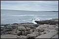 DSC_0275.JPG