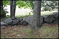 DSC_0290.JPG