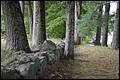 DSC_0294.JPG
