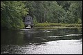 DSC_0311.JPG