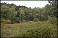 DSC_0312.JPG