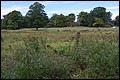 DSC_0321.JPG