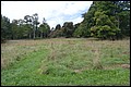 DSC_0324.JPG