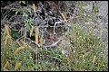 DSC_0325.JPG
