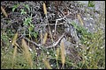 DSC_0326.JPG