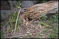 DSC_0327.JPG