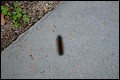 DSC_0328.JPG