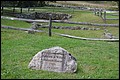 DSC_0329.JPG