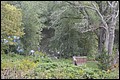 DSC_0330.JPG