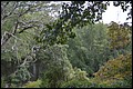 DSC_0331.JPG
