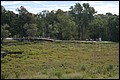 DSC_0332.JPG