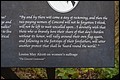 DSC_0338.JPG