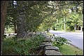 DSC_0345.JPG