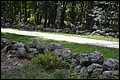 DSC_0346.JPG