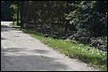 DSC_0348.JPG