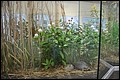 DSC_0357.JPG