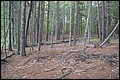 DSC_0362.JPG