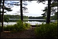 DSC_0363.JPG