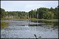 DSC_0364.JPG
