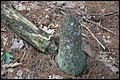 DSC_0366.JPG
