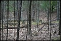 DSC_0367.JPG