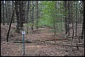 DSC_0368.JPG