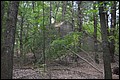 DSC_0369.JPG