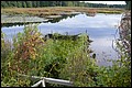 DSC_0371.JPG