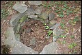 DSC_0378.JPG