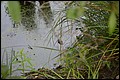 DSC_0379.JPG